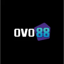 OVO88 - Balapan Seru dan Menantang di Jalanan